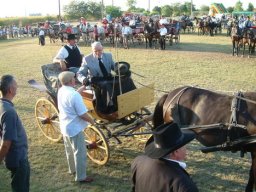 2008 - Styevák János