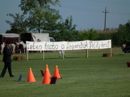 2010 - Styevák János képei 