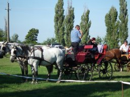 2010 - Styevák János képei 