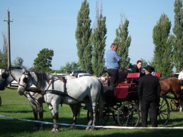 2010 - Styevák János képei 