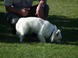 2010 - Styevák János képei 