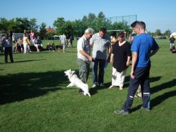 2010 - Styevák János képei 