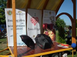 2010 - Styevák János képei 
