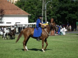 2010 - Styevák János képei 