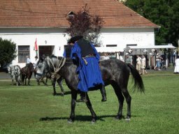 2010 - Styevák János képei 