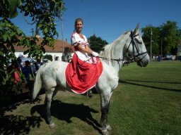 2010 - Styevák János képei 