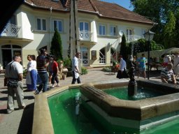 2010 - Styevák János képei 