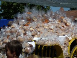 2010 - Styevák János képei 