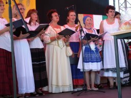 2010 - Styevák János képei 
